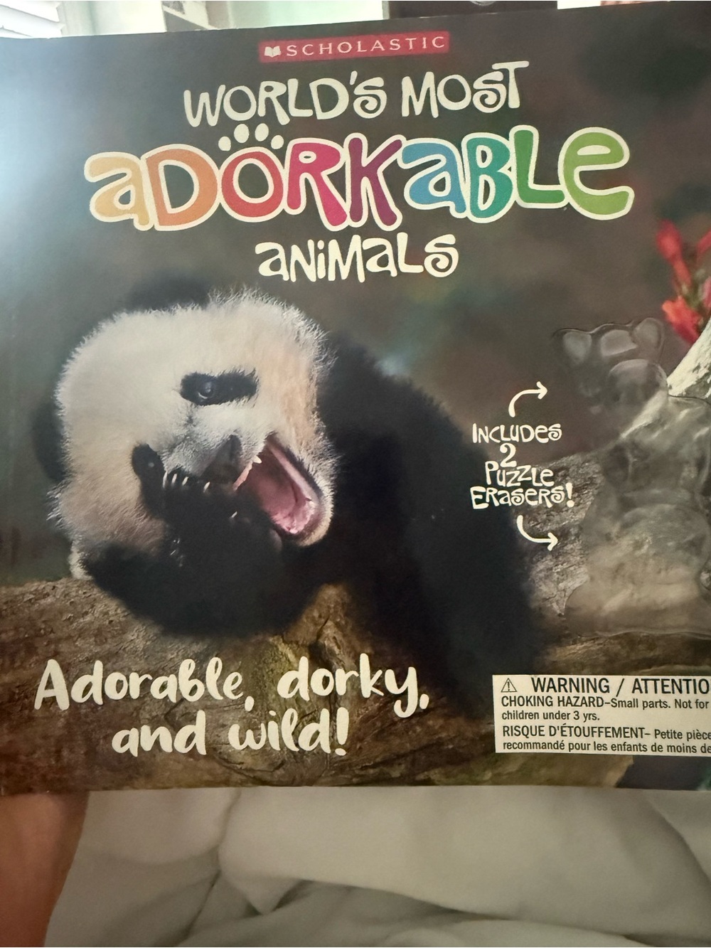 Reptile Department Subcategory Selection